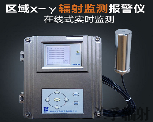 武汉在线x-γ辐射安全报警仪